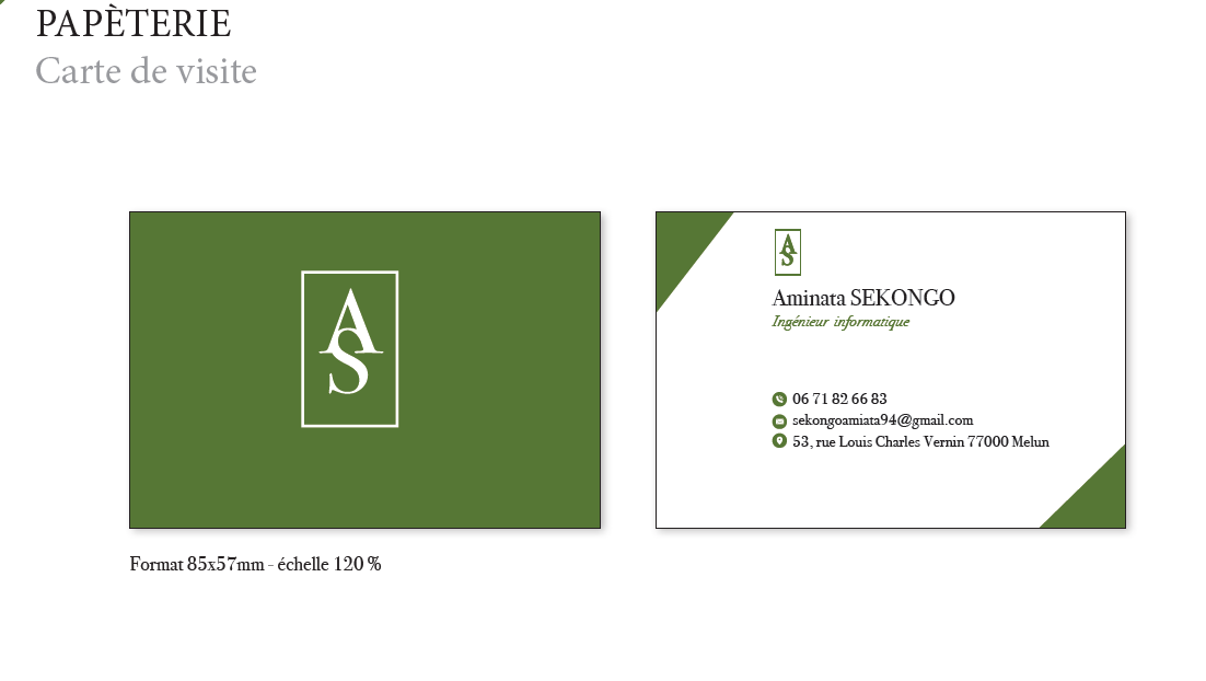 Carte de visite professionnelle créée avec Adobe InDesign